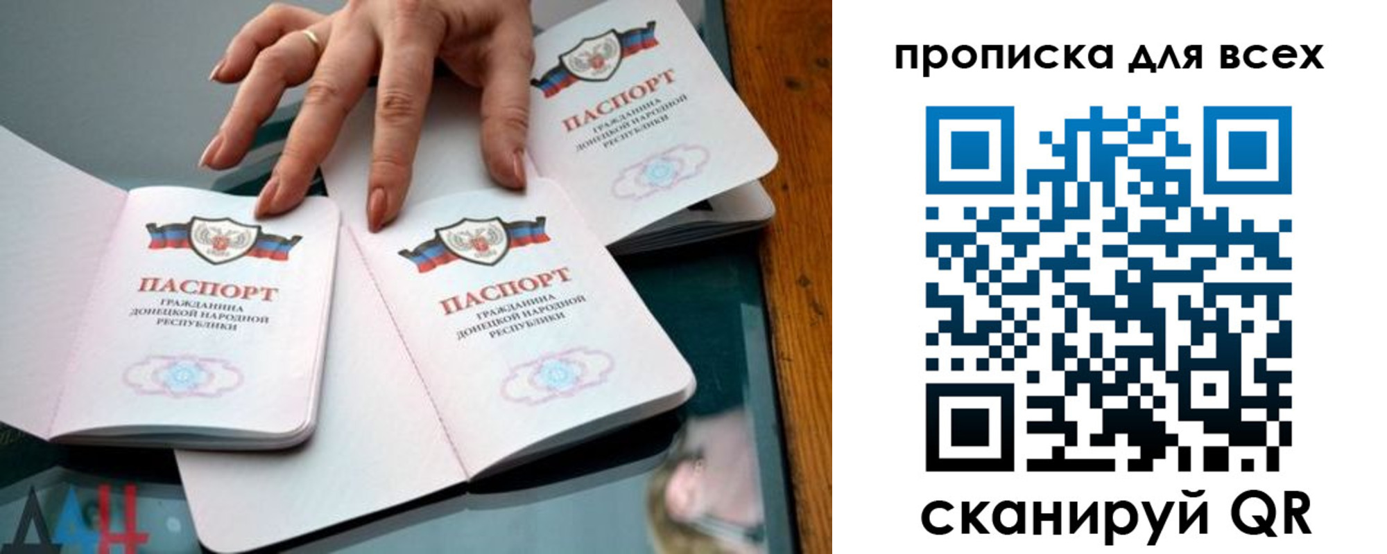 прописка гарантия в Димитровграде