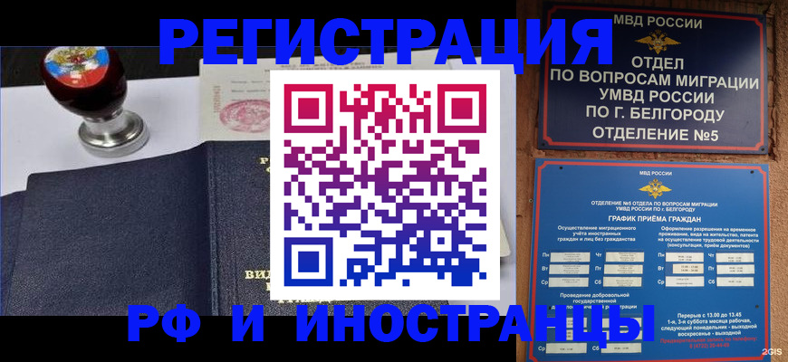 временная регистрация поиск в Димитровграде